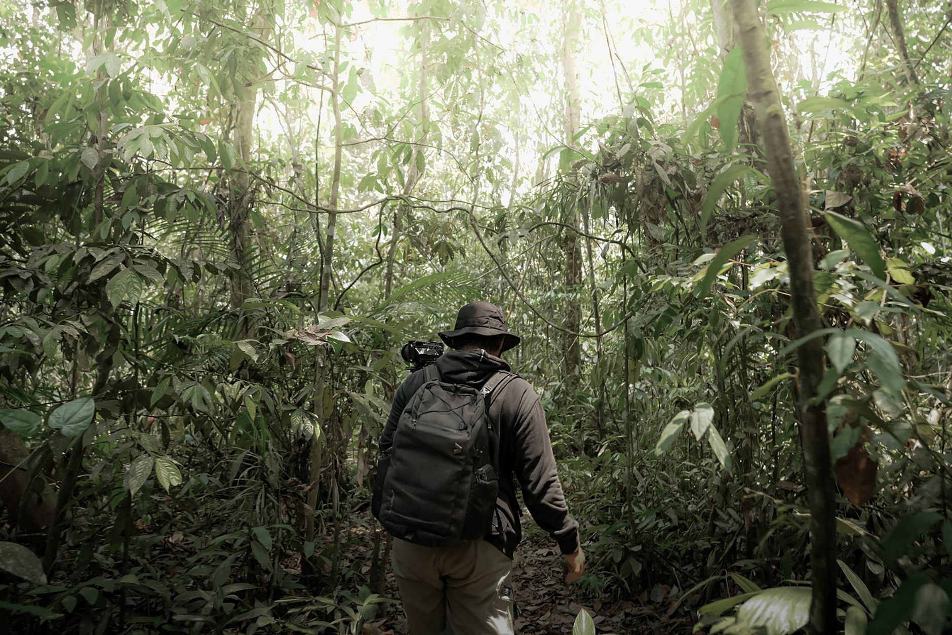 Trilha na Floresta Amazônica