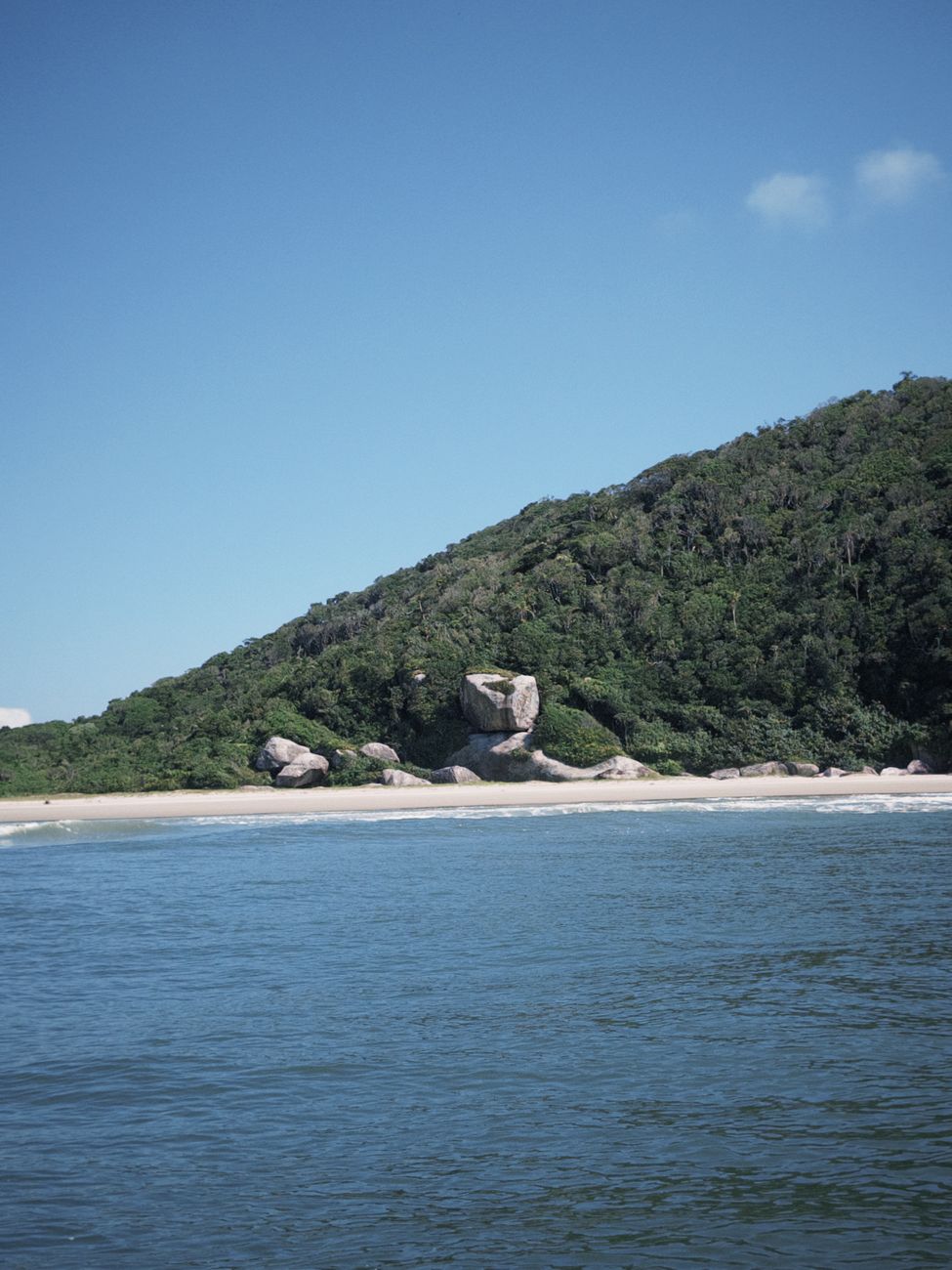 Paisagem exuberante das florestas e praias do Brasil